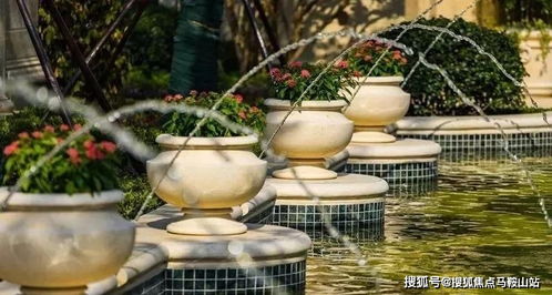 2021花橋 浦西玫瑰園,售樓處營(yíng)銷電話 地址 開...