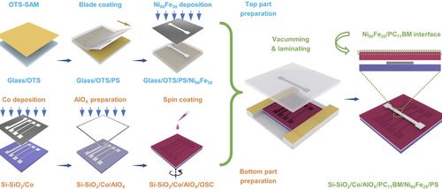 磁性電極無(wú)損轉(zhuǎn)移制備高性能自旋電子器件獲進(jìn)展