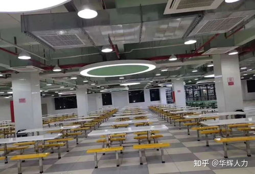 惠州大型電子廠怎么樣